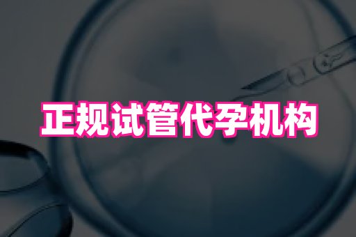 北京助孕网 1