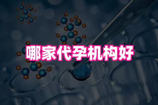 北京助孕网 2