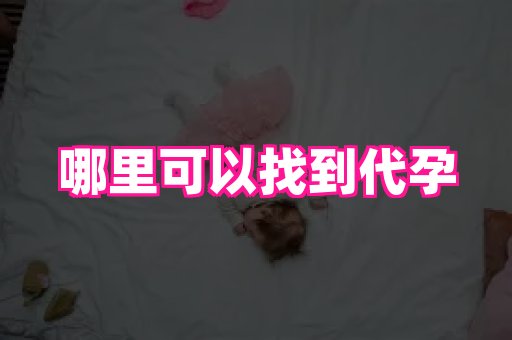 北京助孕网 3